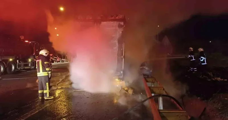 Şanlıurfa’da beyaz eşya yüklü tır alev alev yandı