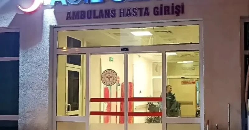 Nusaybin de Kardeşler Evde Ölü Bulundu