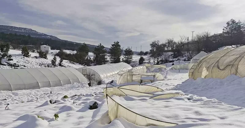 Yoğun kar çok sayıda serayı yıktı