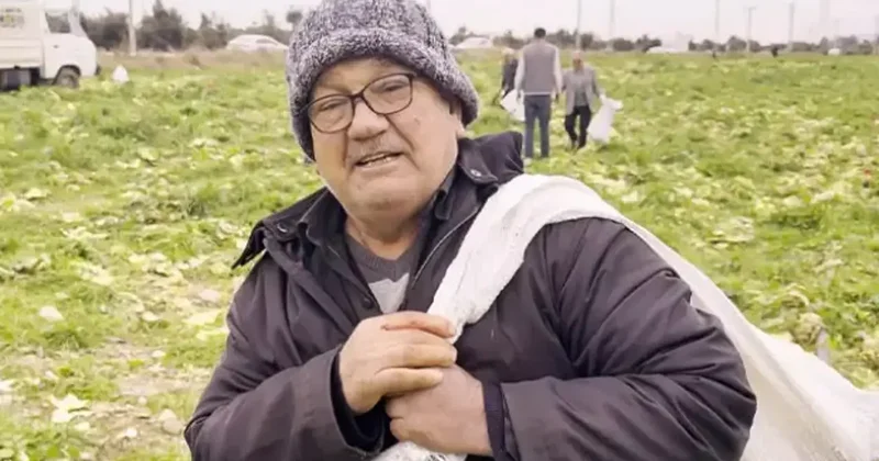 Maliyetini karşılayamayan çiftçi, ürünlerini bedavaya dağıttı!