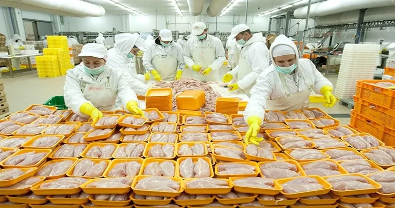 Kırmızı et hayaldi tavuk da lüks oldu! Büyük zam geliyor