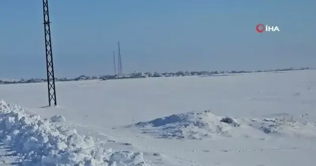 Adilcevaz da sürü halinde gezen köpekler köy halkını tedirgin ediyor