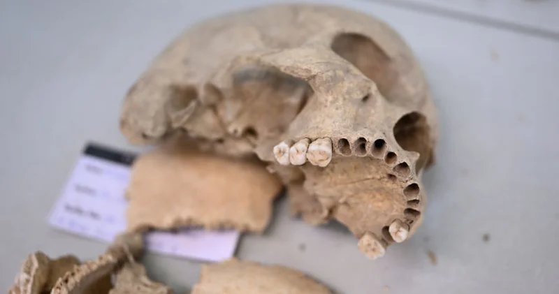 Çayönü Tepesi nde yaşayan insanların genetik haritası çıkarılıyor