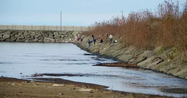 Rize haberleri Rize de ilginç olay: Duyan duymayana duyurdu! Herkes kıyıya akın etti 05 Ocak 2026