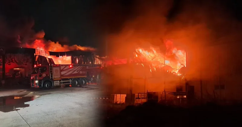 Soğuk hava deposu alev alev yandı!