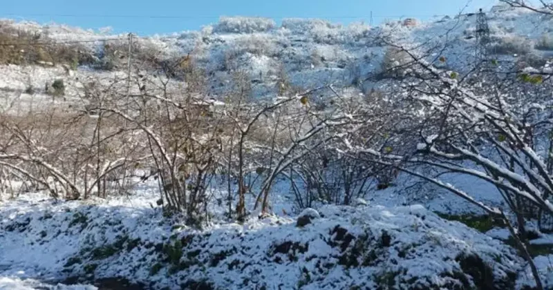 Fındık üreticilerinin kar sevinci