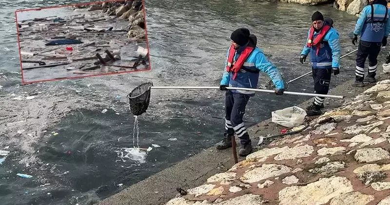 Avcılar da lodosla kıyıya taşınan yosun ve çöpler temizlendi