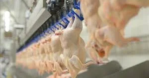 Kırmızı etin ardından beyaz ete de zam kapıda: Fiyatlarda yüzde 25 artış bekleniyor