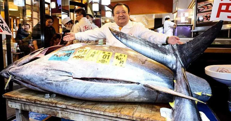 243 kiloluk mavi yüzgeçli orkinosa verdiği para dünya rekoru oldu