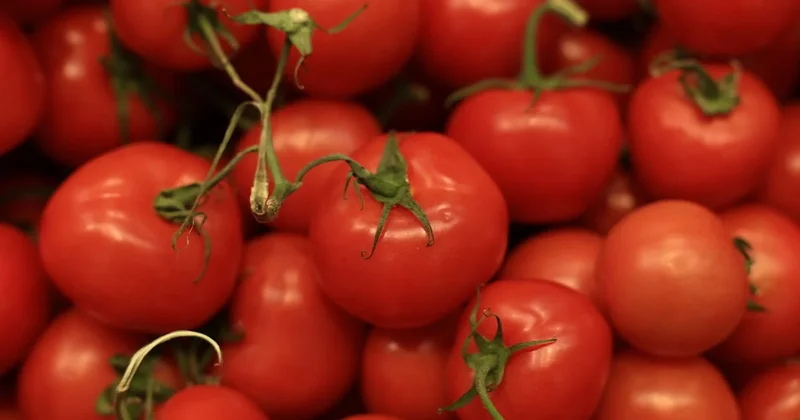 Ocak ayında domates yemeyin uyarısı: Sebebi tadı veya fiyatı değil Sözcü Gazetesi