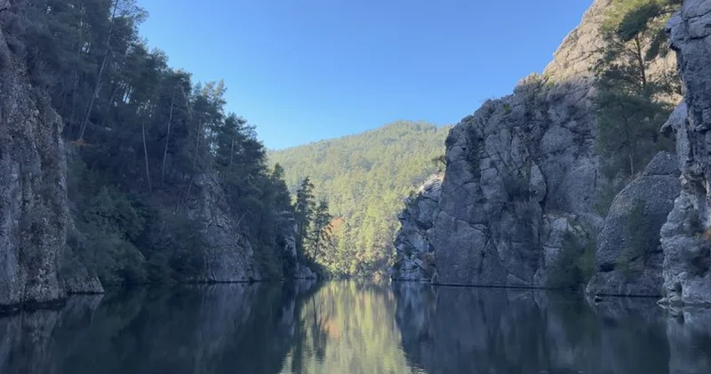 Koruma altındaki sığla ormanının güzellikleri tekne turuyla keşfediliyor
