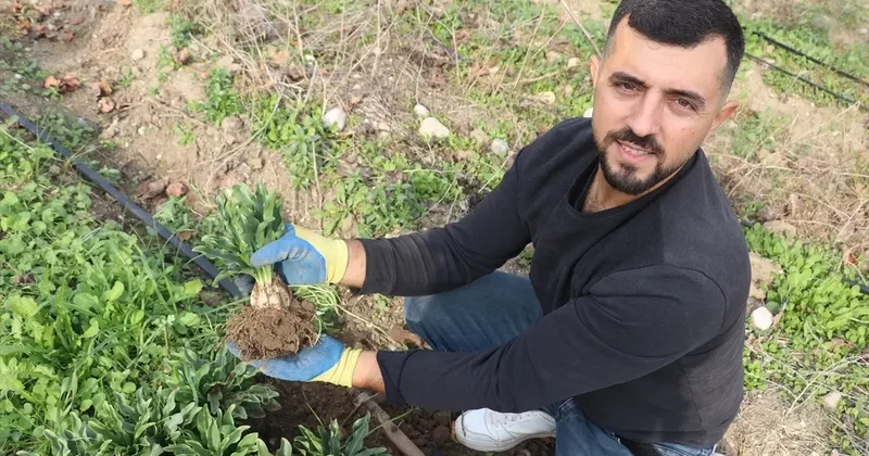 Kariyerini bıraktı, eşiyle birlikte girdiği tarlada hazineyi buldu