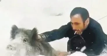 MEVLÜT TEZEL Sigarasını düşürmeden eliyle domuzu yakalayan dayı