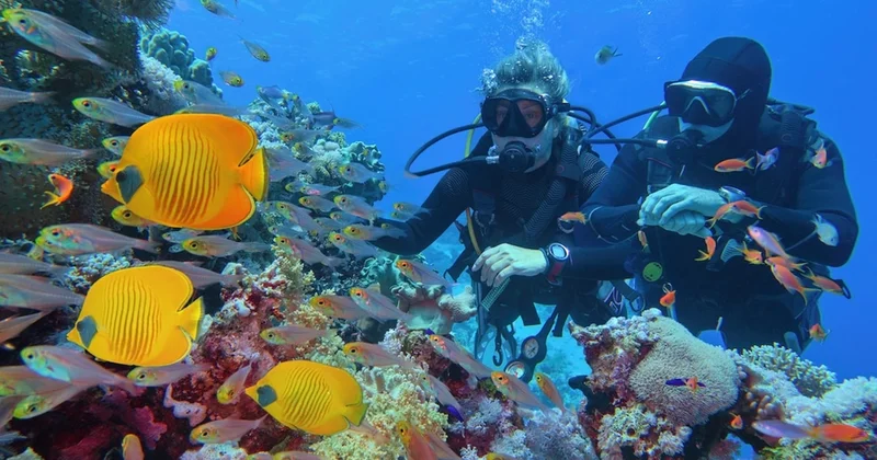 Gıda güvensizliğine karşı gizli silah okyanuslarda bulundu Sözcü Gazetesi