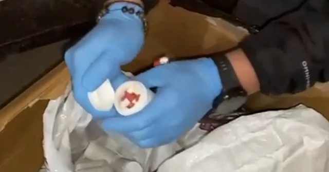 Samsun da 236 bin 122 uyuşturucu hap ele geçirildi VİDEO İZLE