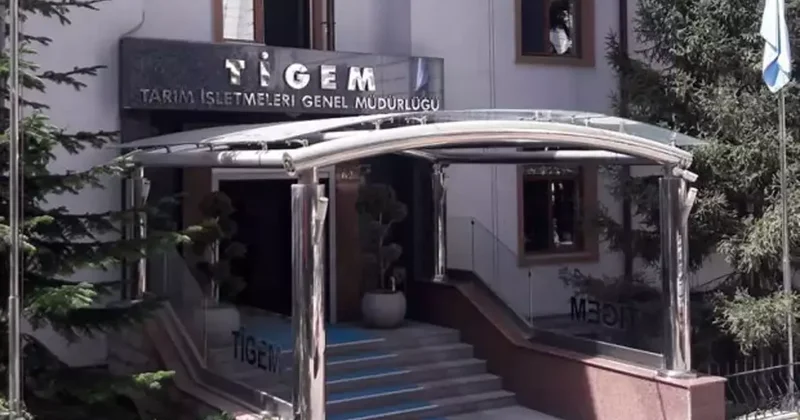 TİGEM 24 bin kilogram koyun sütü satacak