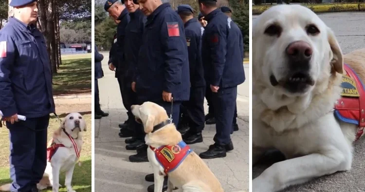 10 yıldır jandarmada görevli olan Medyum emekliye ayrıldı