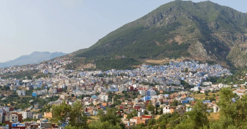 44 yıl önce binlerce insanı taşa çevirmişti: Canavar yeniden uyandı Sözcü Gazetesi