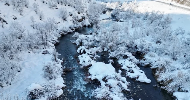 Şırnak ta beyaza bürünen dağ ve ağaçlar göz kamaştırdı Şırnak Haberleri