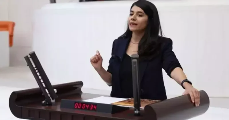 DEM li vekilden akla ziyan iddia: Kürtlere Kürt oldukları için trafik cezası kesiliyor