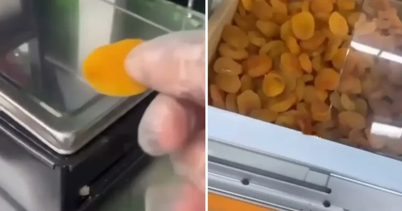 Kayısının kilo fiyatı da tane fiyatı da ağızları açık bıraktı