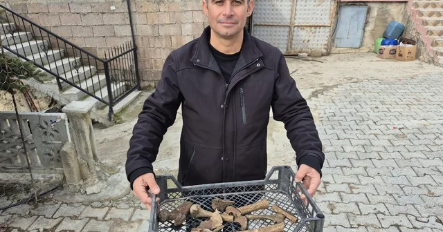 Eğirdir Gölü nün suyu çekilen kıyı kesiminde insan kemikleri bulunan küpler ortaya çıktı Isparta Haberleri