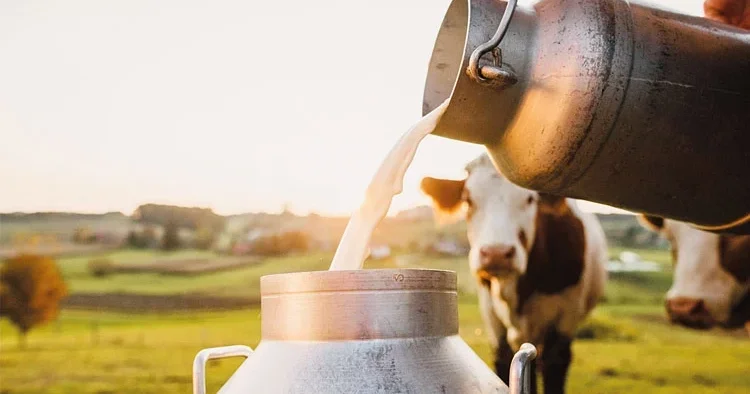 Uzmanlar uyardı: ‘Sokak sütü’ modasına dikkat