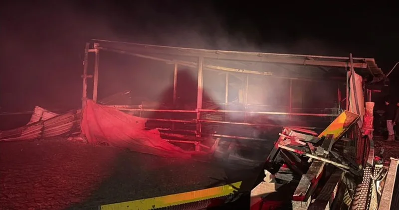 Tekirdağ da çiftlik yangınında, 60 küçükbaş öldü