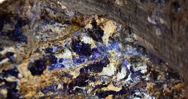 Arjantin ile ABD arasında kritik mineraller anlaşması Enerji Haberleri