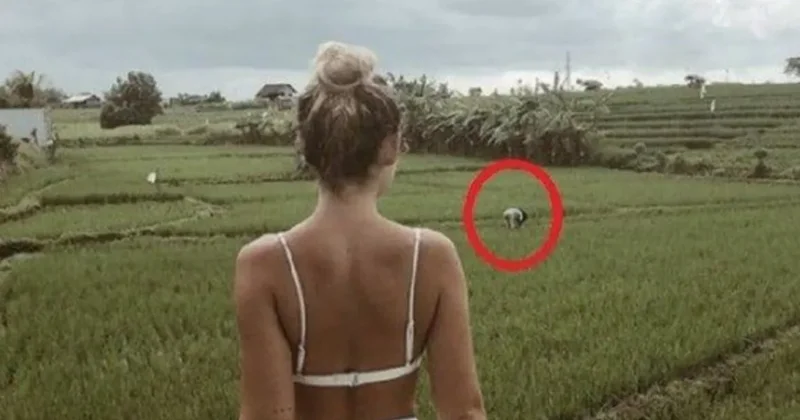 Tarlaya giren çiftçiler isyan ediyor: Soyunmayın Sözcü Gazetesi