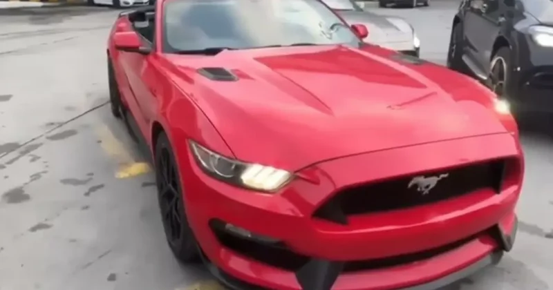 Sahte Belgeyle Giriş Yapan 65 Lüks Araç Ele Geçirildi