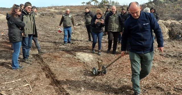 Eskişehir de yangın sonrası ağaçlandırma çalışmaları başladı Seyitgazi yangının izleri siliniyor Yanan 700 hektar küllerinden yeniden doğacak Eskişehir Haberleri