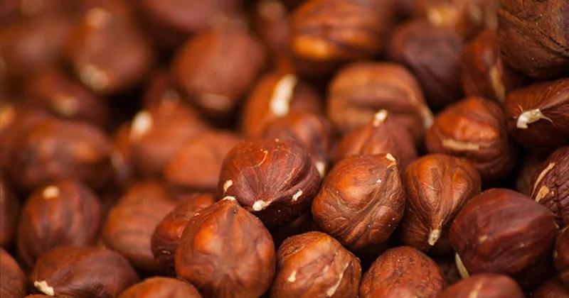 Fındık ihracatından 6 ayda 1,17 milyar doları aşkın gelir