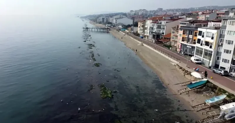 Tekirdağ da deniz 7 metre çekildi, Kral Yolu ortaya çıktı