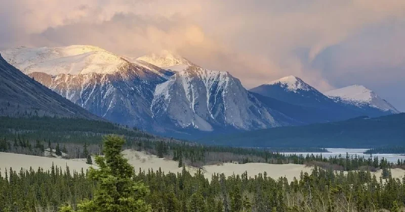 Dünyanın en küçük çölü: Sadece 600 metre genişliğinde Sözcü Gazetesi