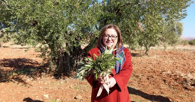 Gaziantep Büyükşehir den Nizip e örnek tarımsal destekler Gaziantep Haberleri