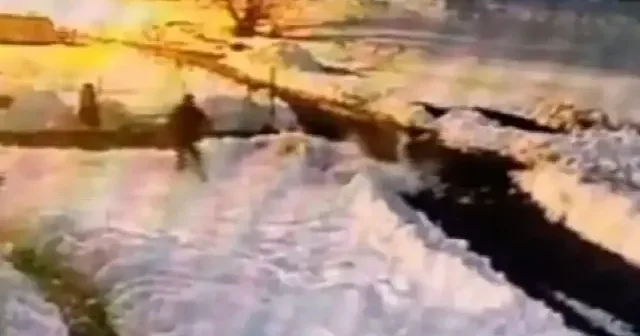 Aç kurt sürüsünü kürekle böyle kovaladı VİDEO İZLE