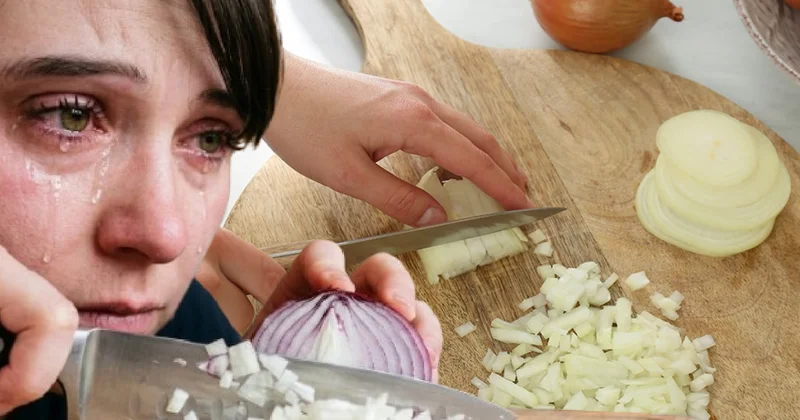 Gözyaşı dökmeyen soğanlar satılmaya başlandı: İşte fiyatı Sözcü Gazetesi