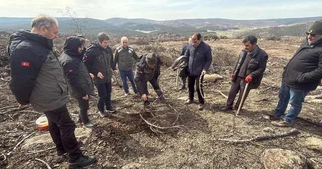 Yangında 10 şehidin verildiği ormanda yeniden ağaçlandırma çalışması başlatıldı Eskişehir Haberleri