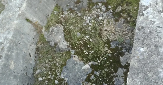 Kaya mezara defineciler tarafından zarar verildi Bilecik Haberleri