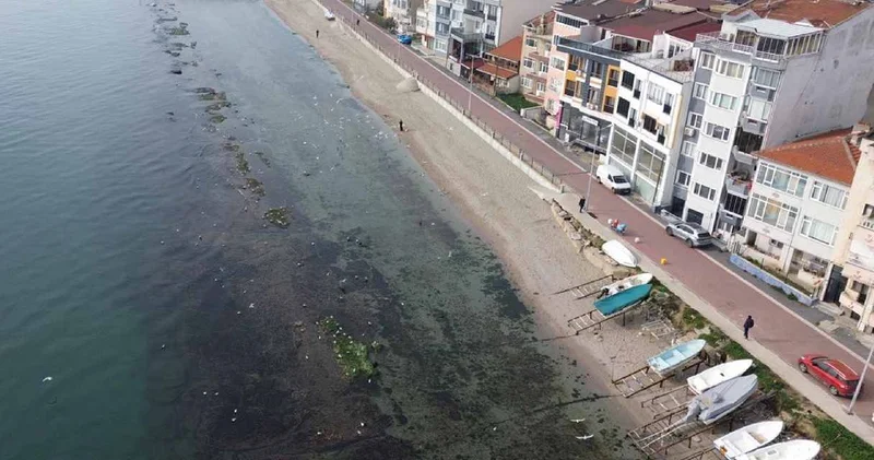 Tekirdağ’da şaşkına çeviren görüntü: Deniz çekilince altından çıktı