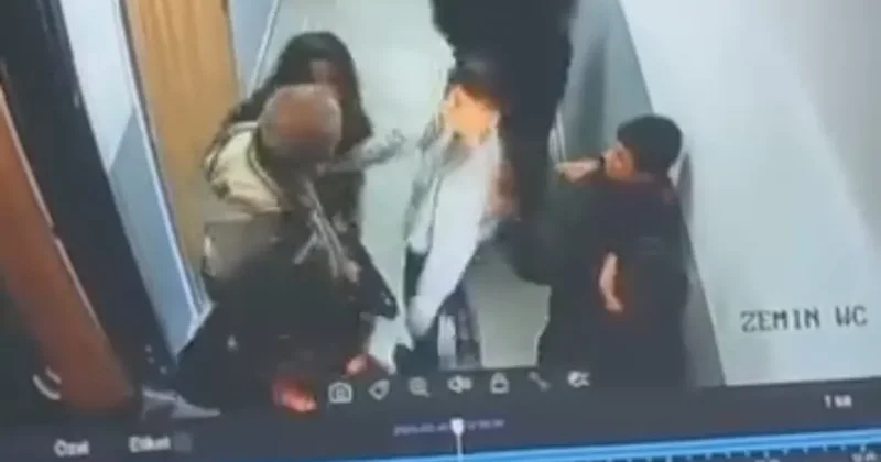 Van da cani veli kar topu dehşeti saçtı: 8 yaşındaki öğrenciyi darbetti! O anlar kamerada