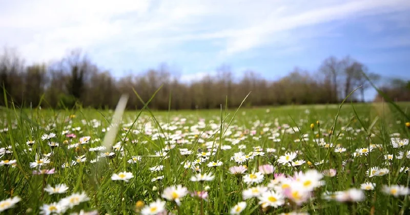 Bahar geldi: Son cemre toprakla buluştu