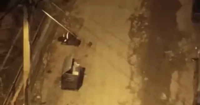 Artuklu Belediyesinden özverili temizlik işçilerine anlamlı ödül Mardin Haberleri