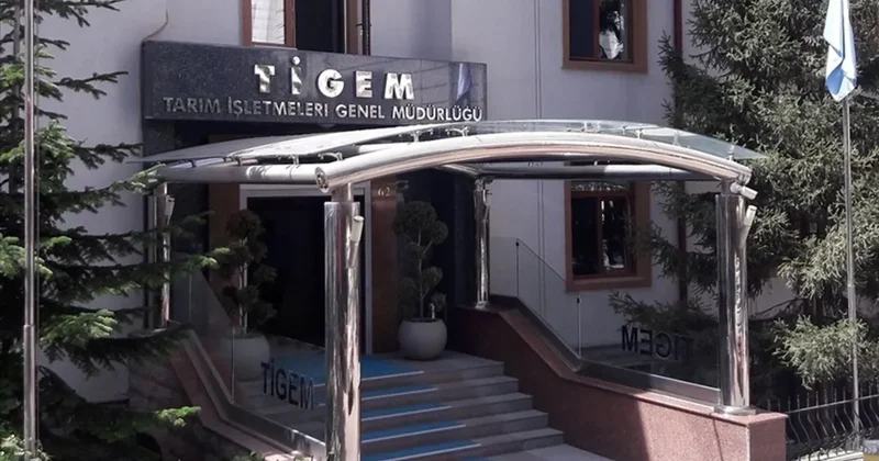 TİGEM den 20 tonluk mahsul ceviz satışı