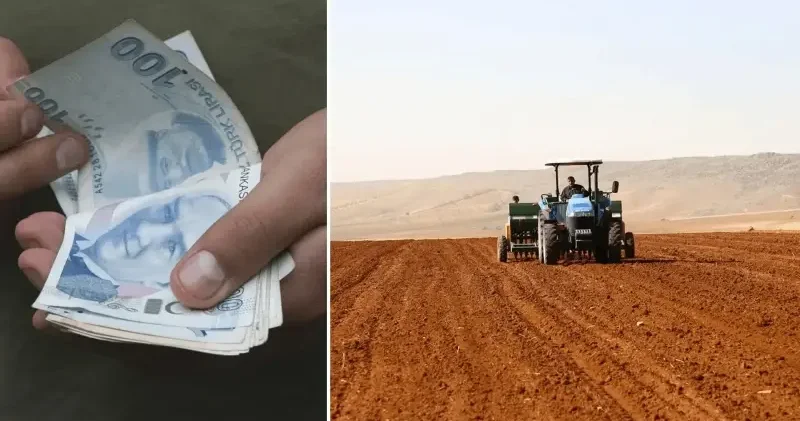 Çiftçilere destek ödemesi yarın yapılacak: 12,3 milyar TL hesaplara yatıyor Türkiye Ekonomisi Haberleri