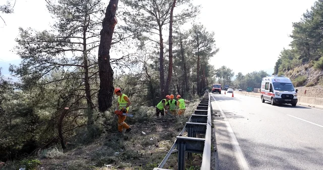 Muğla da yangın sezonu öncesi Sakar Geçidi nde riskli dallar temizleniyor Muğla Haberleri