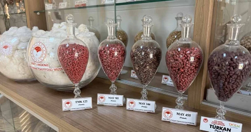 Adana da geliştiriliyor: 13 ülkeye ihraç ediliyor