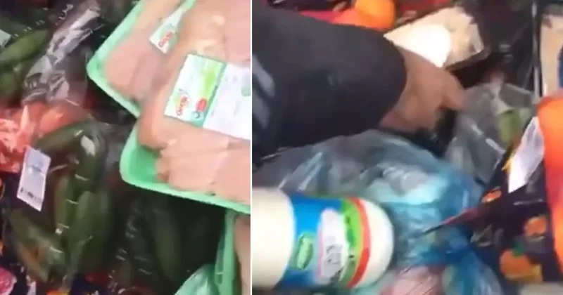 Çöpteki manzara isyan ettirdi: Ambalajları bile açılmamış