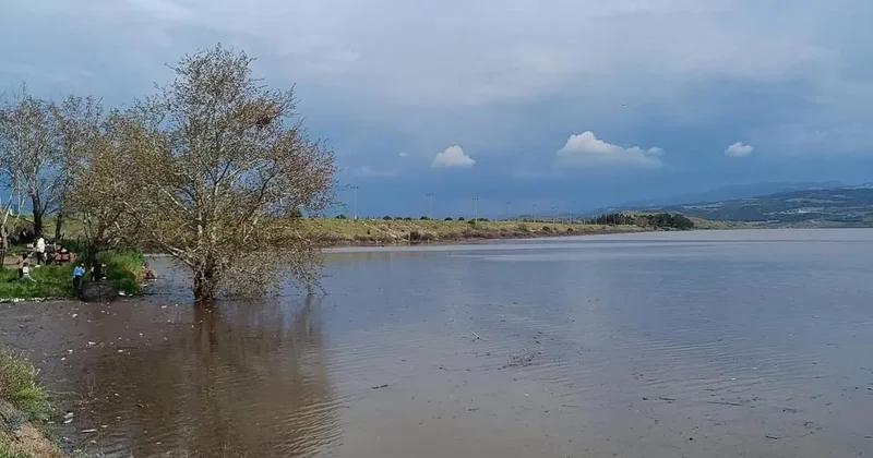 Sarıgöl Ovası’nda su sevinci